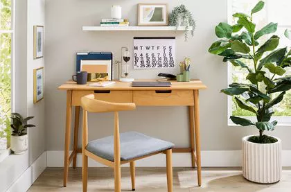 گیاهان در فضای کار گیاهان در فضای کار