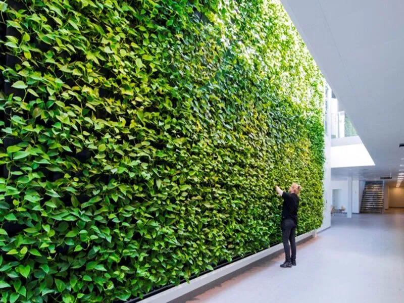 مزایای استفاده از گرین وال