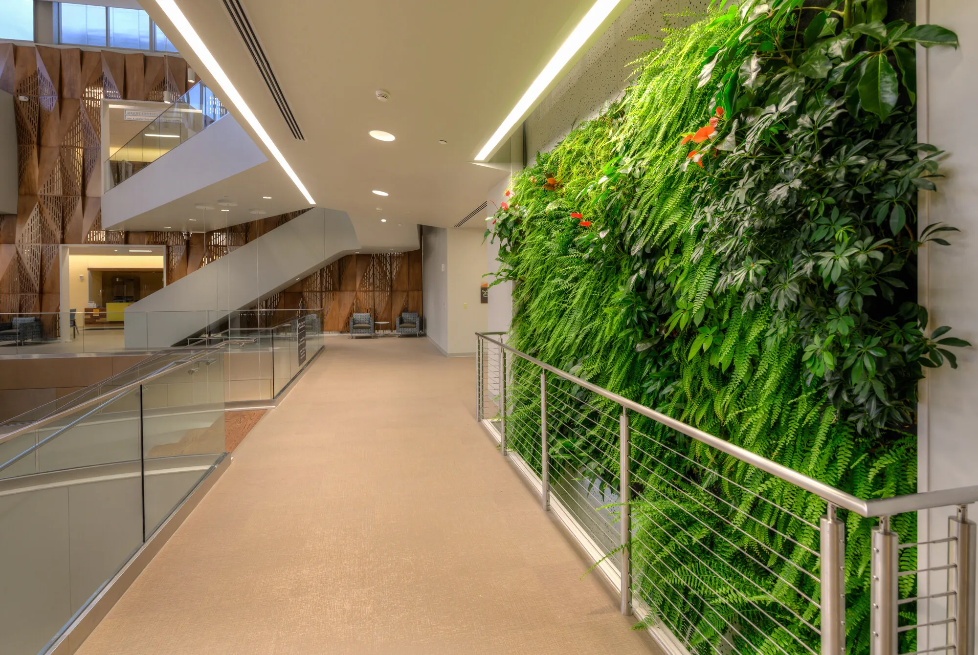 گرین وال در راهرو