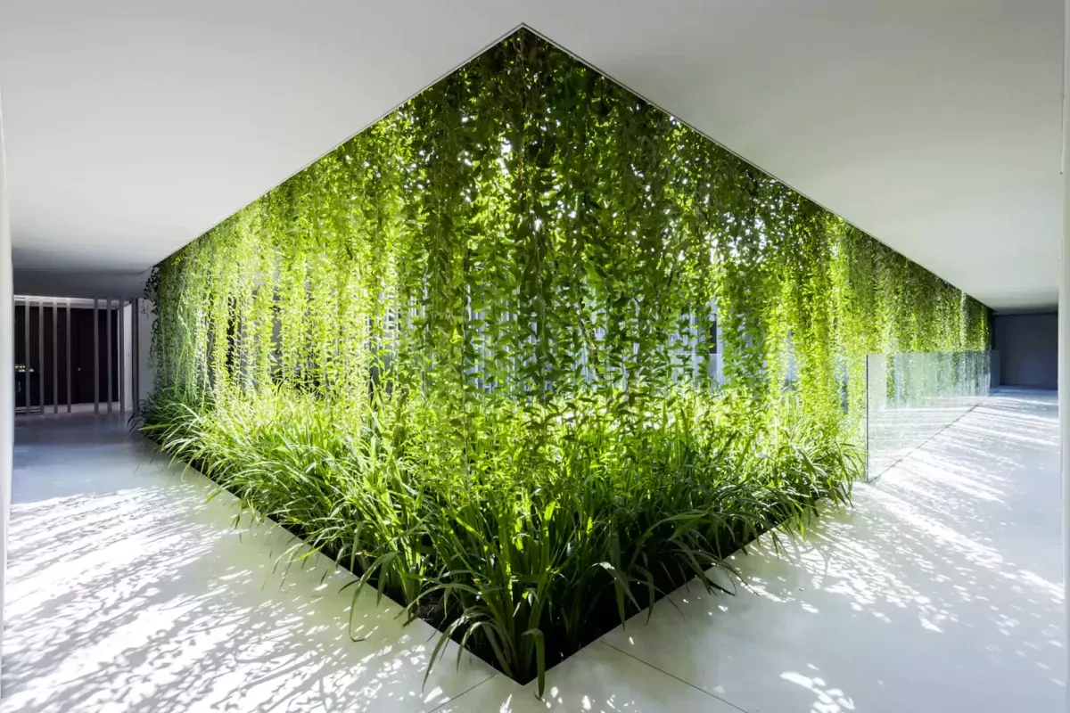 گرین وال اطراف دیوار شیشه ای