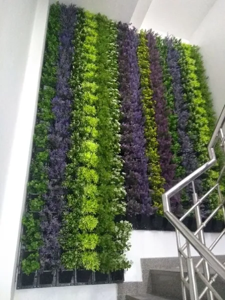 هزینه اجرای گرین وال