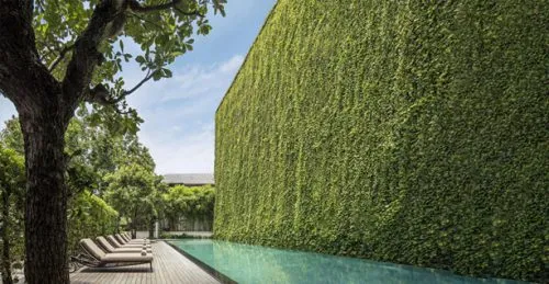 گرین وال اطراف استخر