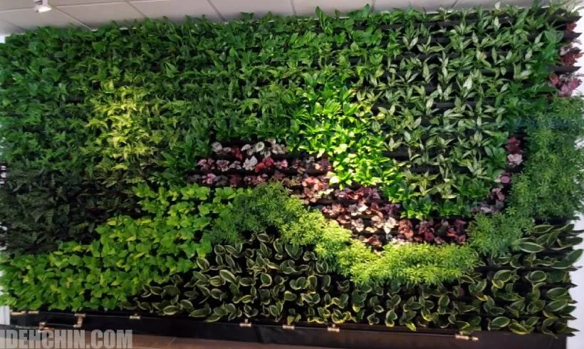 گرین وال با چیدمان متفاوت و جدید