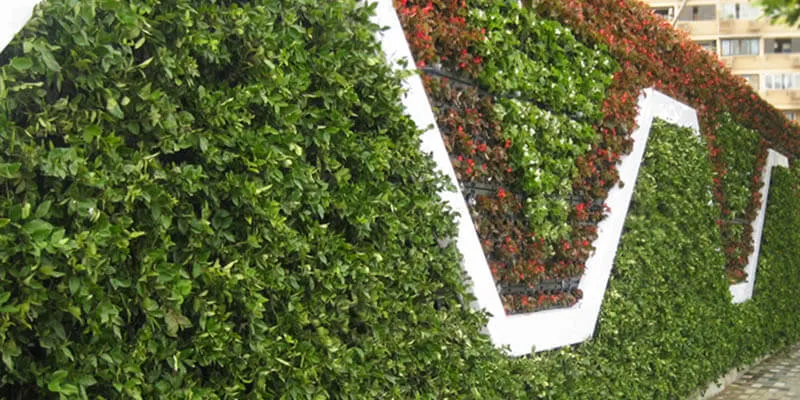 چیدمان چند رنگ گیاهان در گرین وال